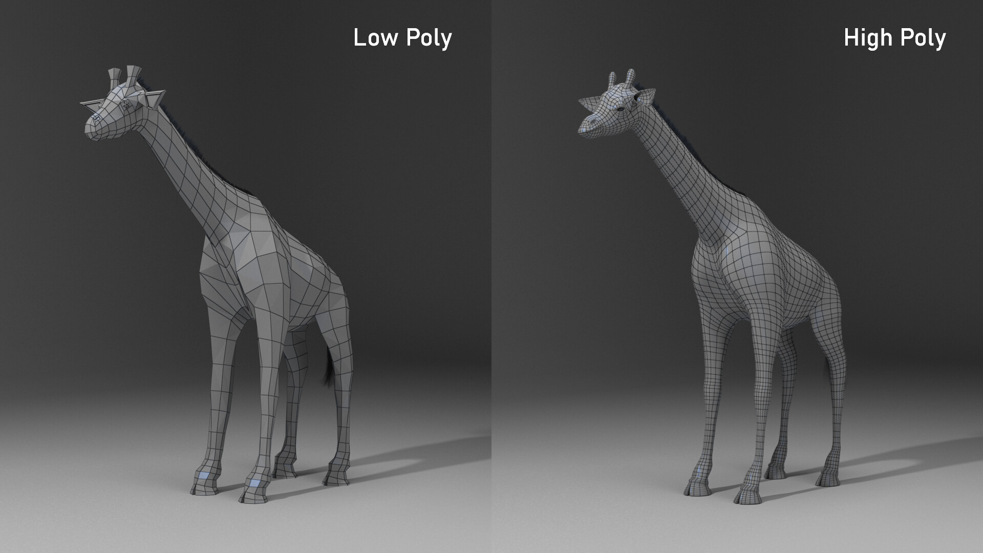 Low and High Poly Models