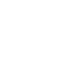 Seo Optmized Content