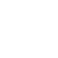 Seo Optmized Content